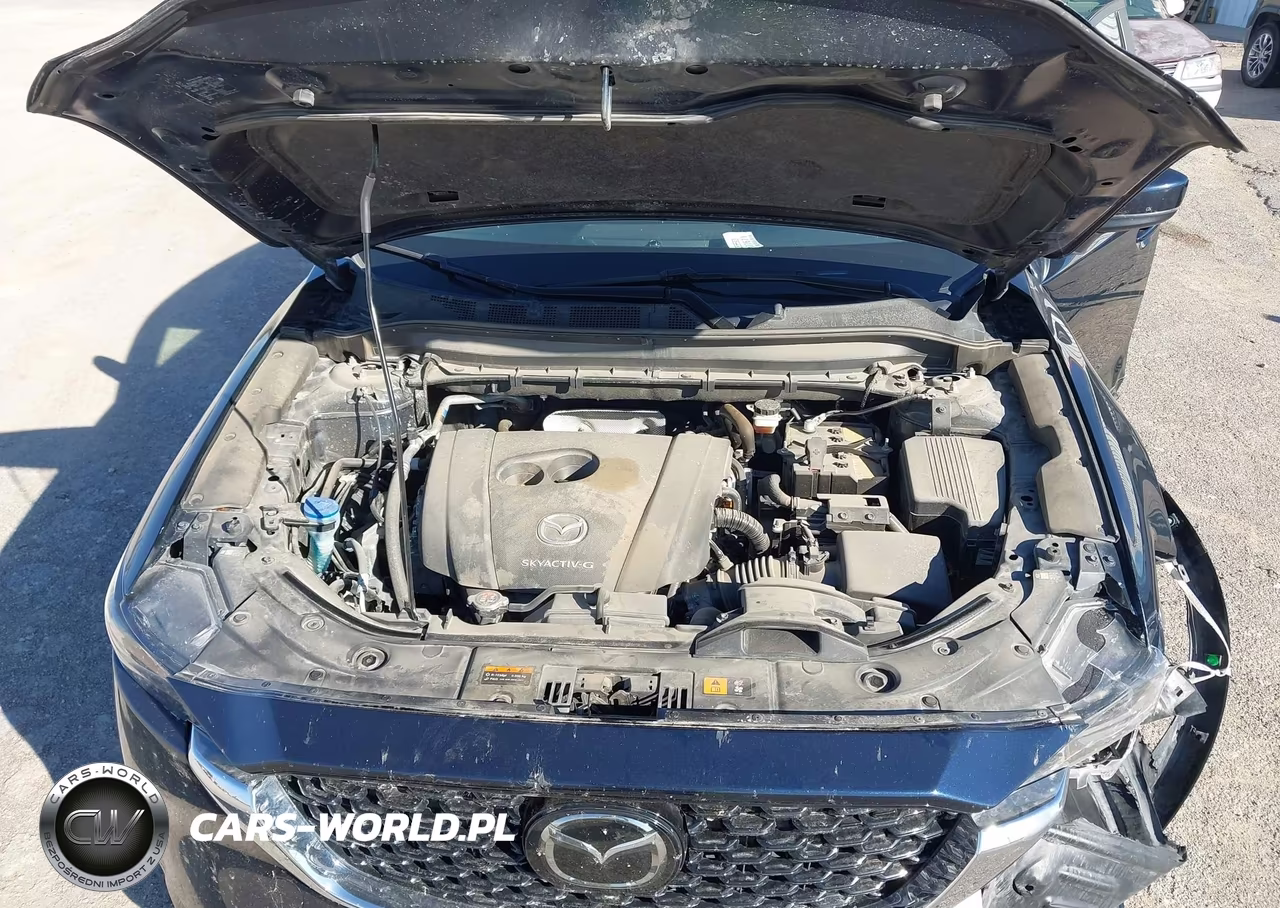 2025 Mazda Cx-5 2.5 S Preferred VIN:JM3KFBCL2S0700895 - 10