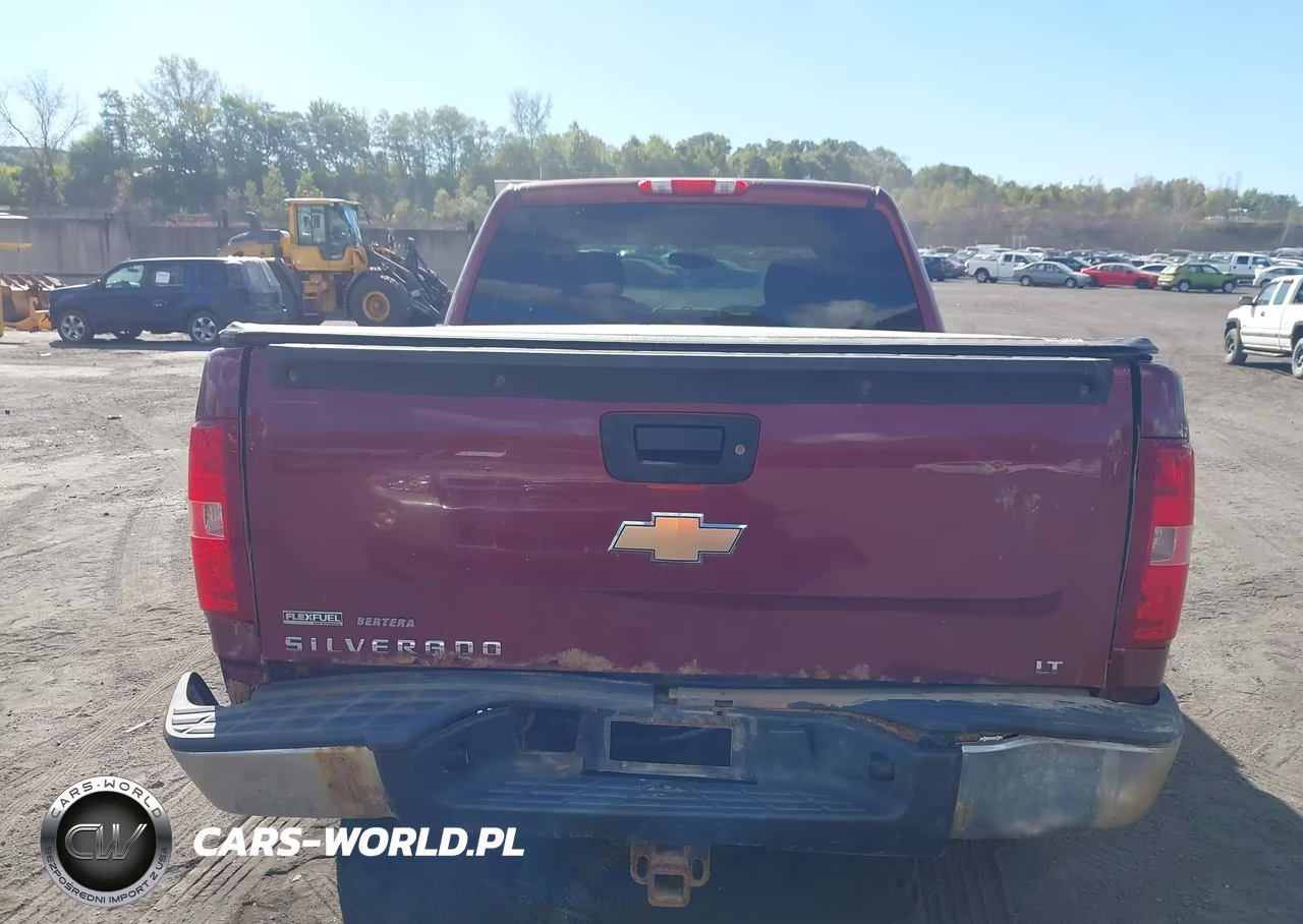 2009 Chevrolet Silverado 1500 Lt VIN:3GCEK233X9G150143 - 16