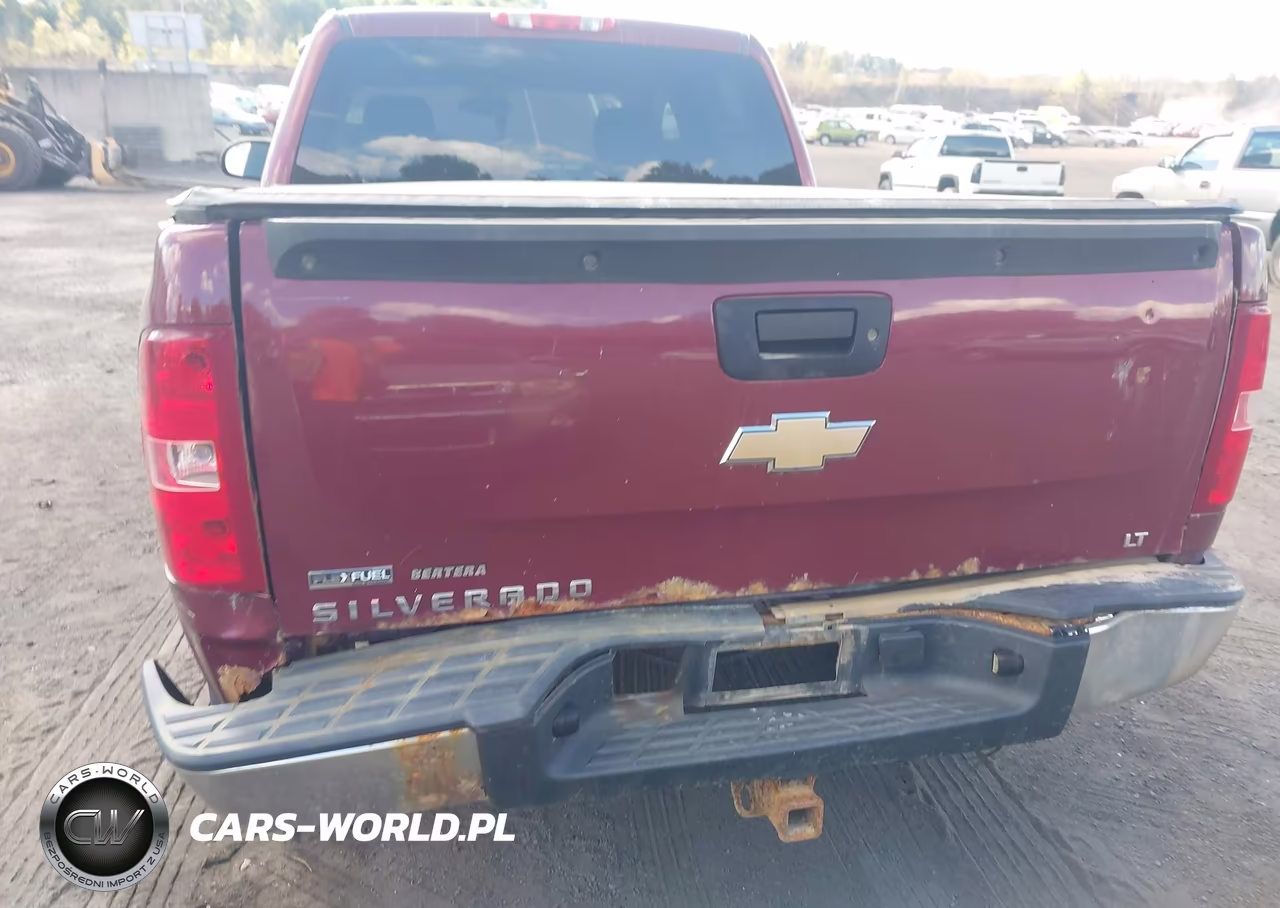 2009 Chevrolet Silverado 1500 Lt VIN:3GCEK233X9G150143 - 17