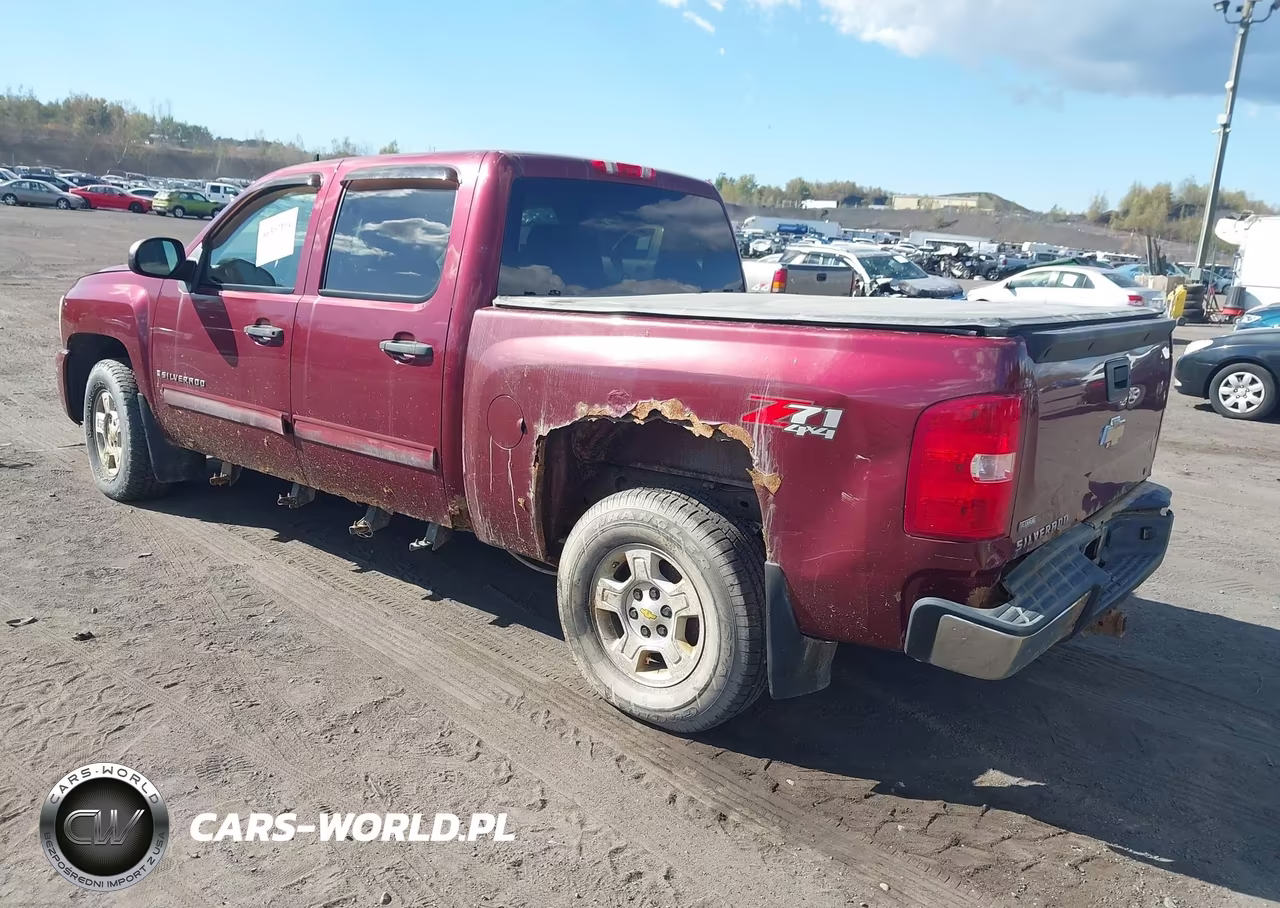 2009 Chevrolet Silverado 1500 Lt VIN:3GCEK233X9G150143 - 3
