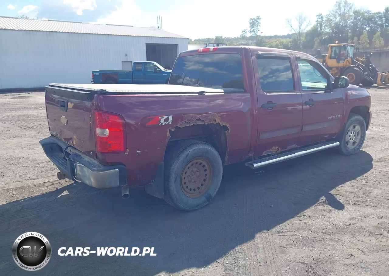 2009 Chevrolet Silverado 1500 Lt VIN:3GCEK233X9G150143 - 4