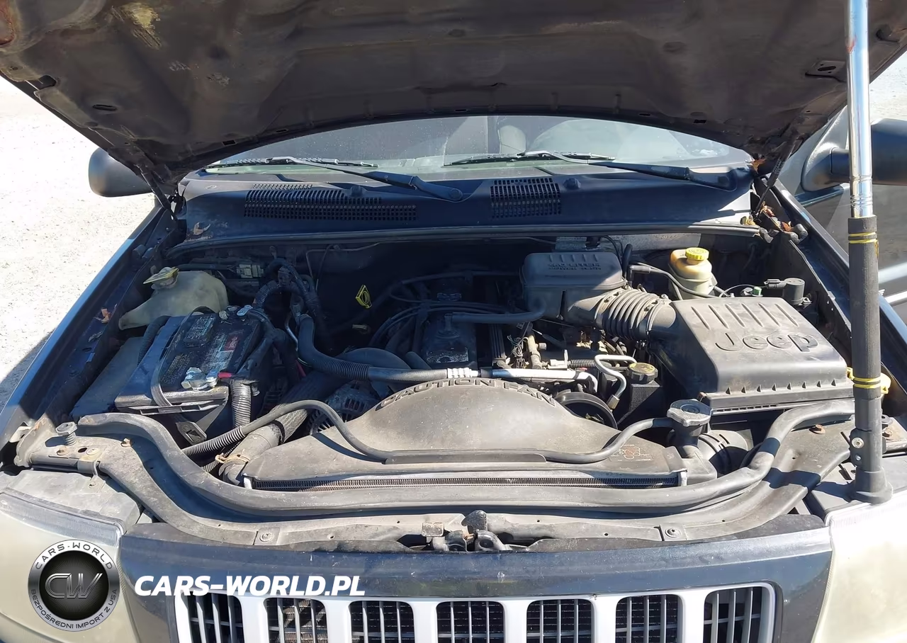 2004 Jeep Grand Cherokee Laredo VIN:1J4GW48S74C125070 - 10
