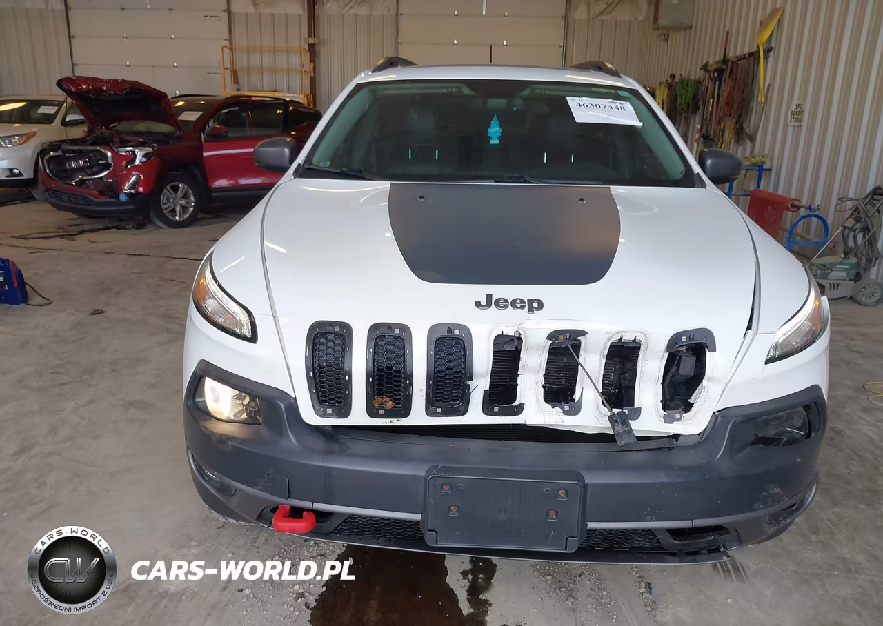 2016 Jeep Cherokee Trailhawk VIN:1C4PJMBS1GW348723 - 12