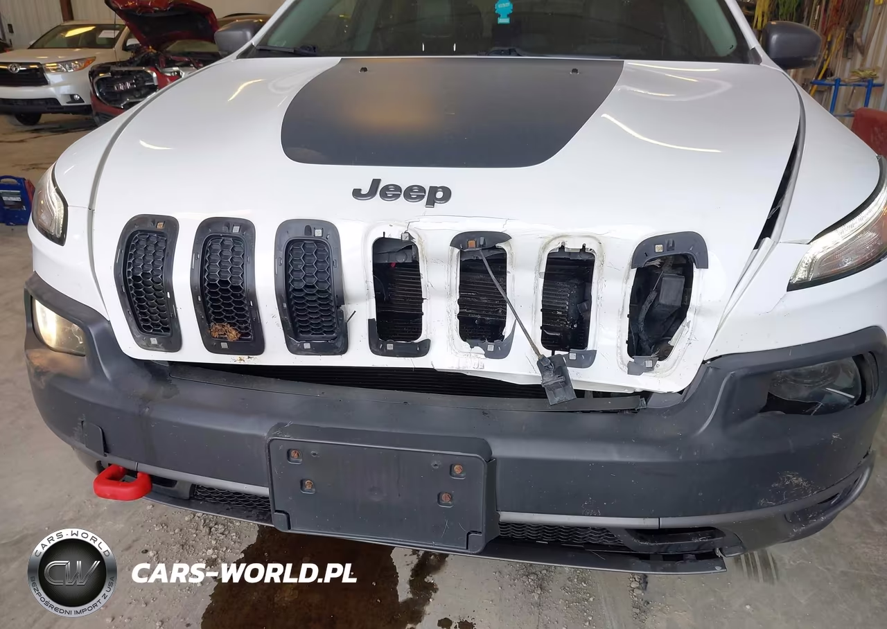 2016 Jeep Cherokee Trailhawk VIN:1C4PJMBS1GW348723 - 6