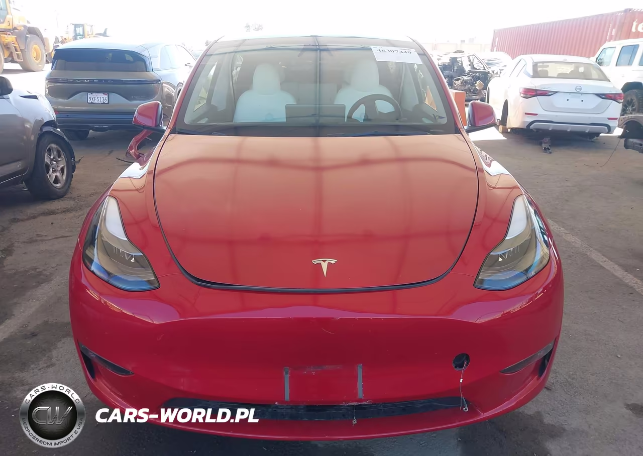 2023 Tesla Model Y Awd-Long Range Dual Motor All-Wheel Drive VIN:7SAYGDEE5PF899012 - 13