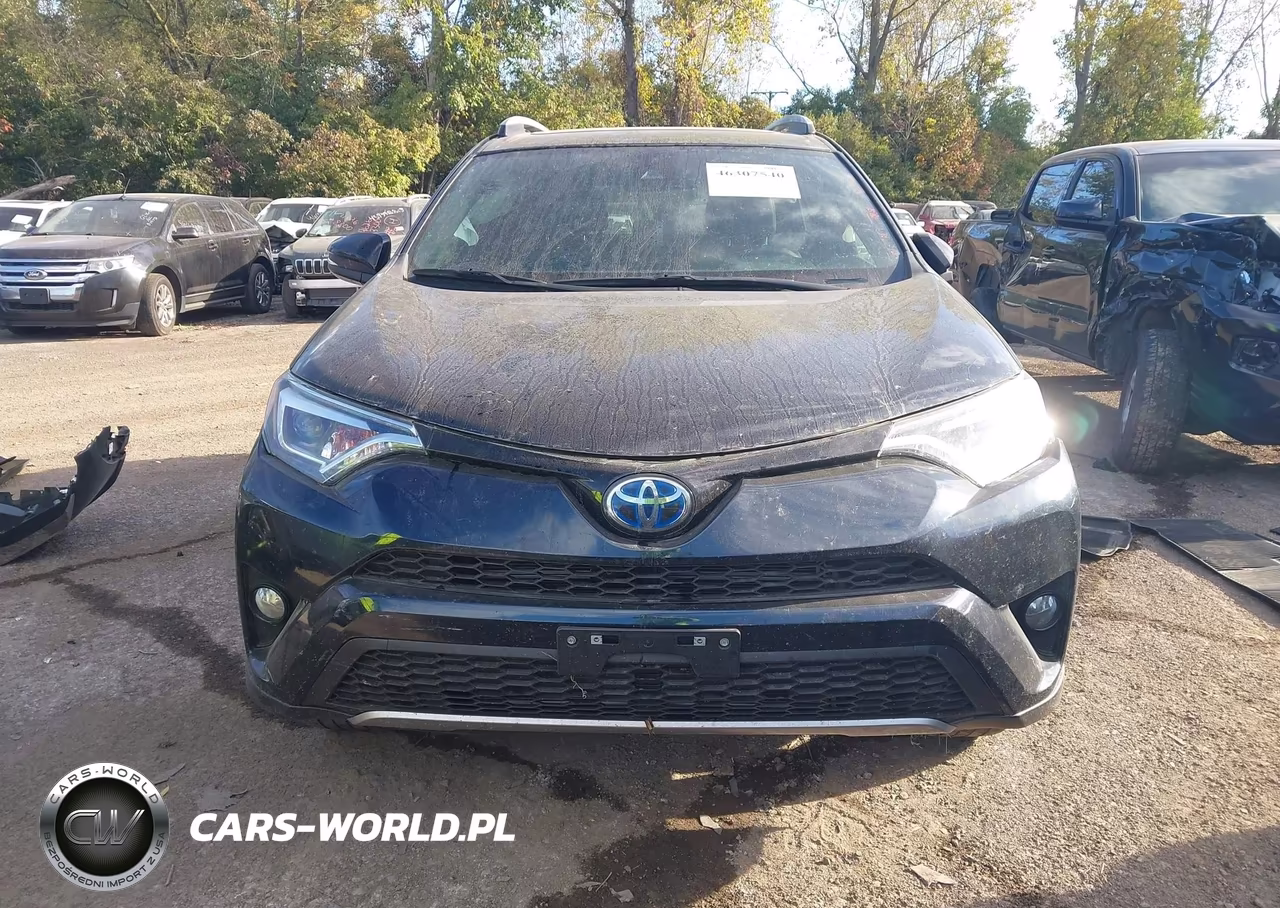2017 Toyota Rav4 Hybrid Se VIN:JTMJJREV6HD132436 - 12