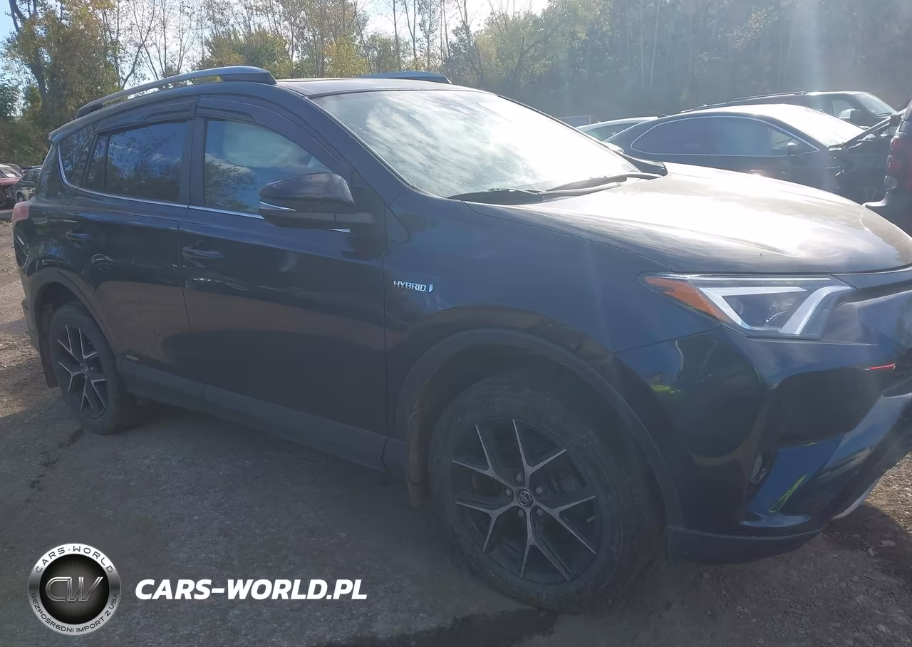 2017 Toyota Rav4 Hybrid Se VIN:JTMJJREV6HD132436 - 13