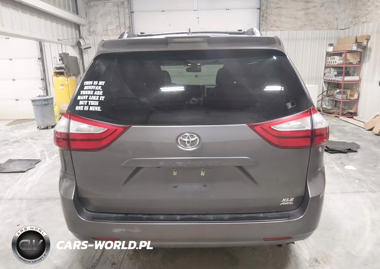 2018 Toyota Sienna Xle 7 Passenger VIN:5TDDZ3DC5JS197260 - 16