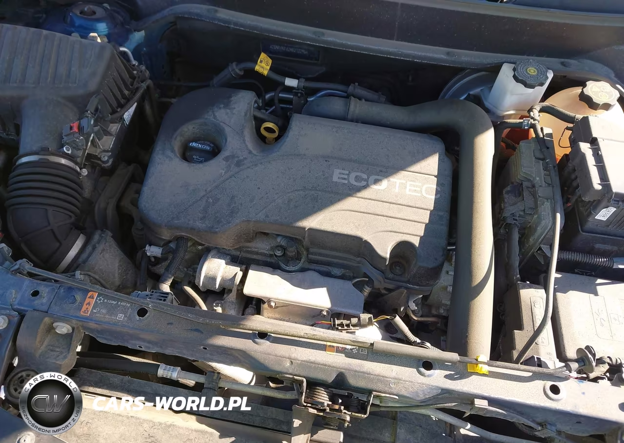 2019 Chevrolet Equinox Lt VIN:2GNAXKEV7K6212296 - 10