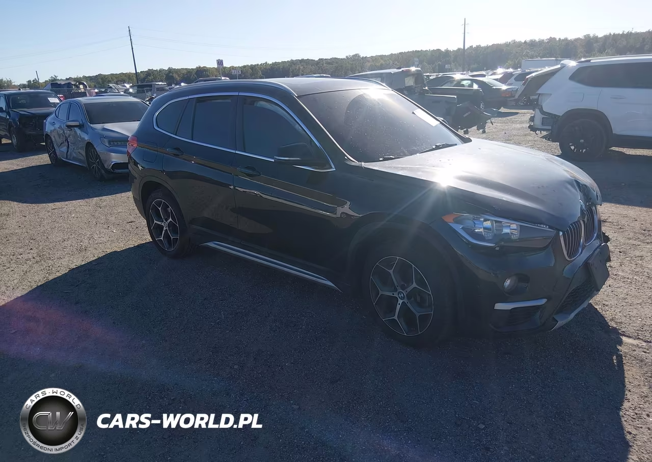 2019 BMW X1 xDrive28I VIN:WBXHT3C52K3H36237 - 1