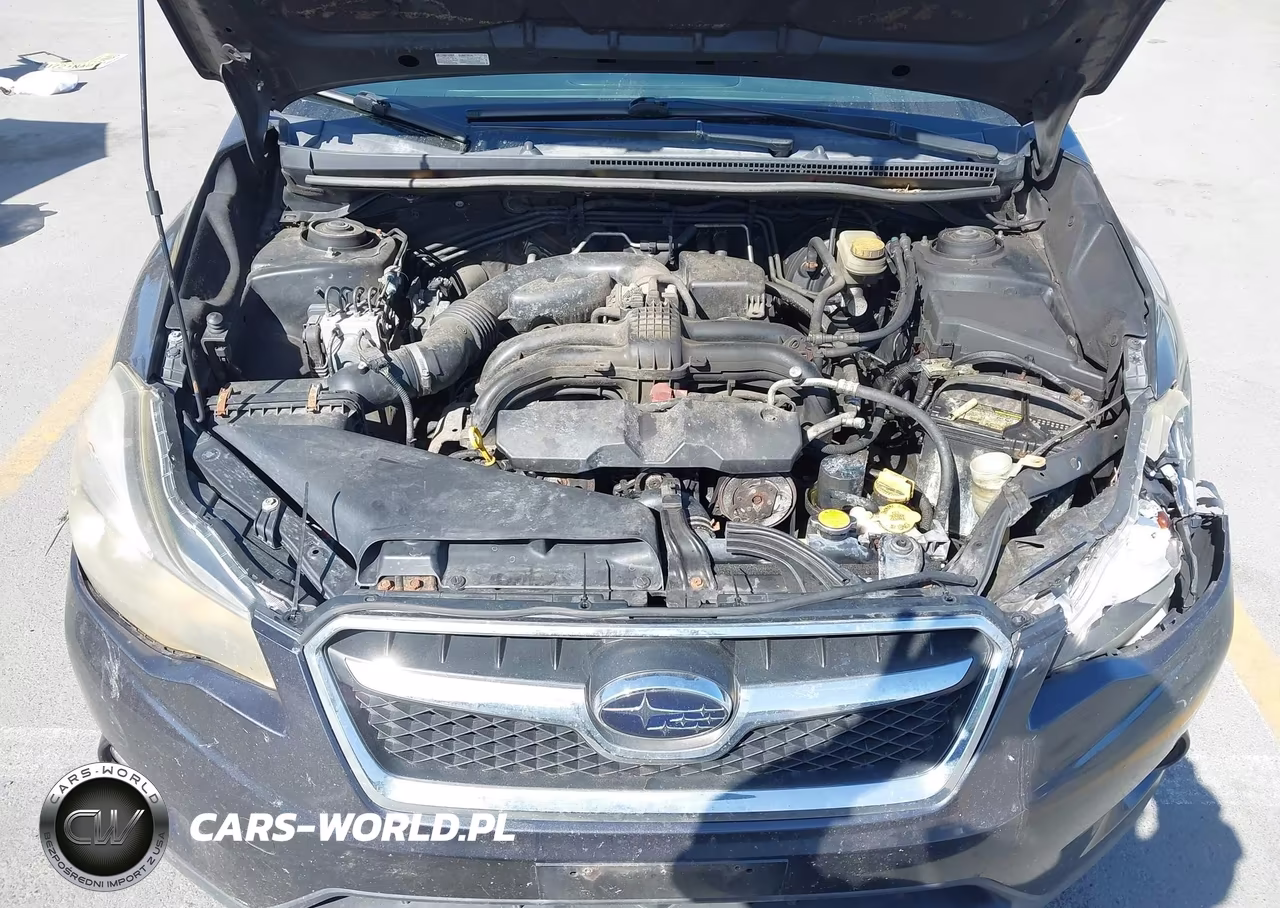 2013 Subaru Xv Crosstrek 2.0I Premium VIN:JF2GPAVC0D2823008 - 10