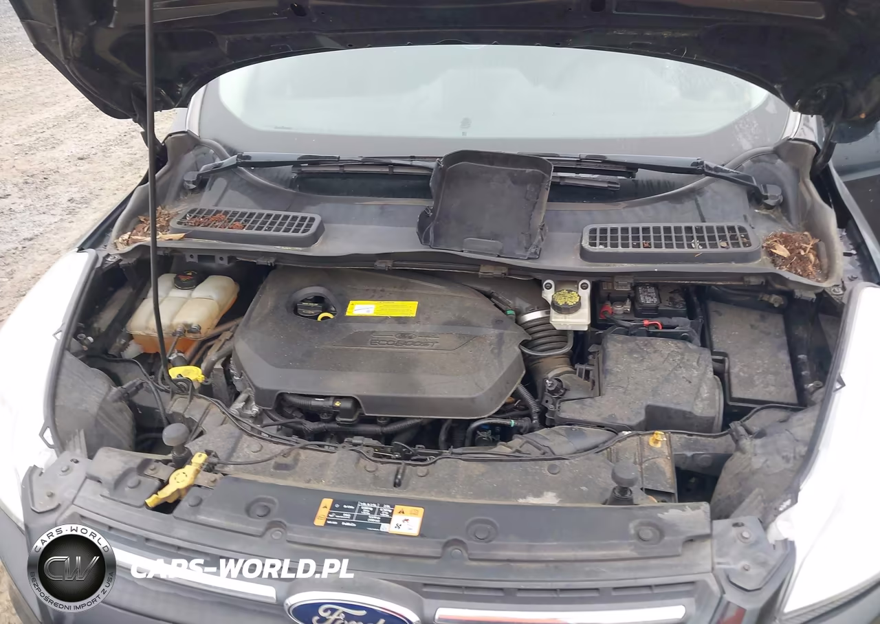 2015 Ford Escape Se VIN:1FMCU9GX5FUA99176 - 10