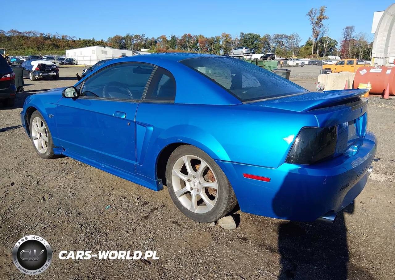 1999 Ford Mustang Gt VIN:1FAFP42X1XF106249 - 3