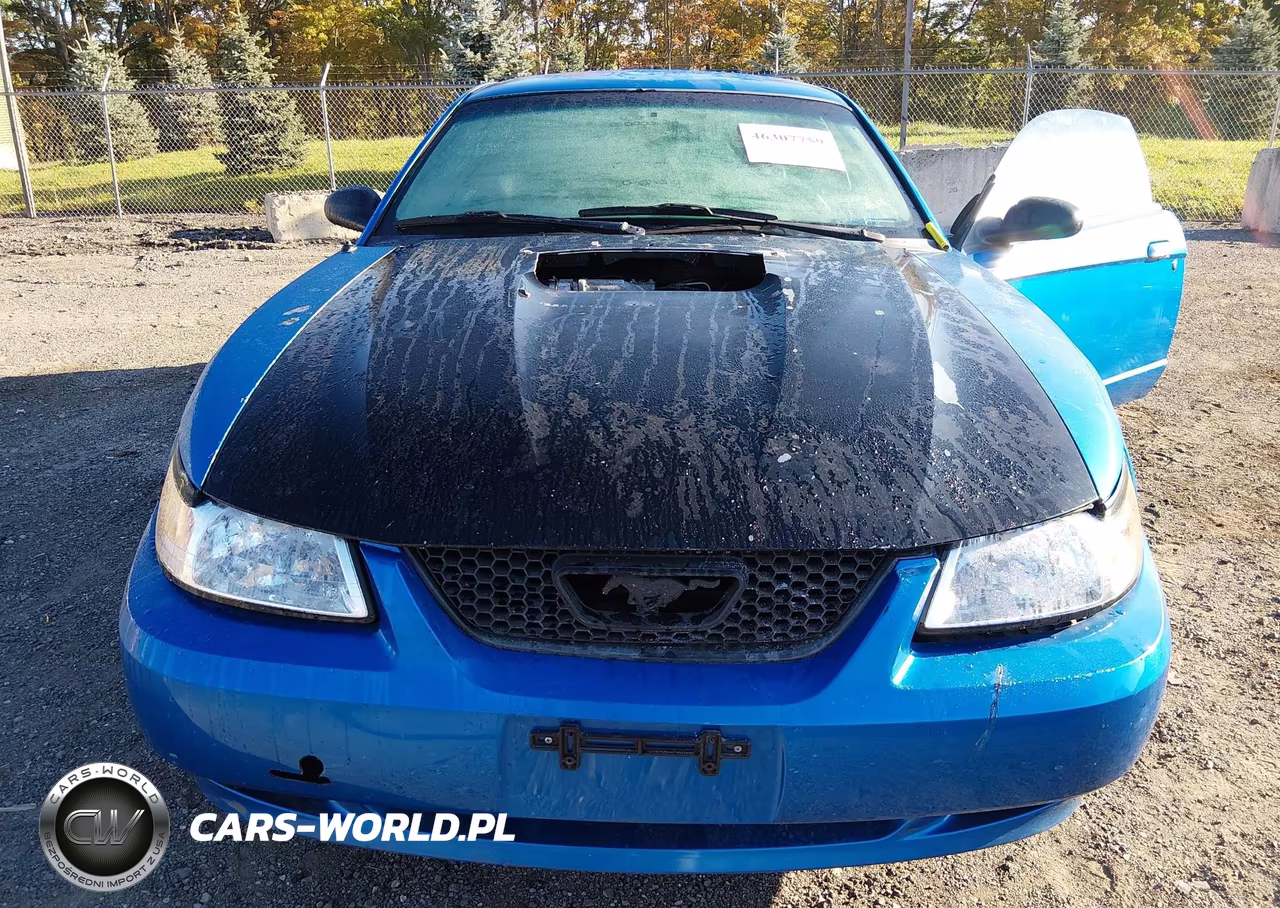 1999 Ford Mustang Gt VIN:1FAFP42X1XF106249 - 6