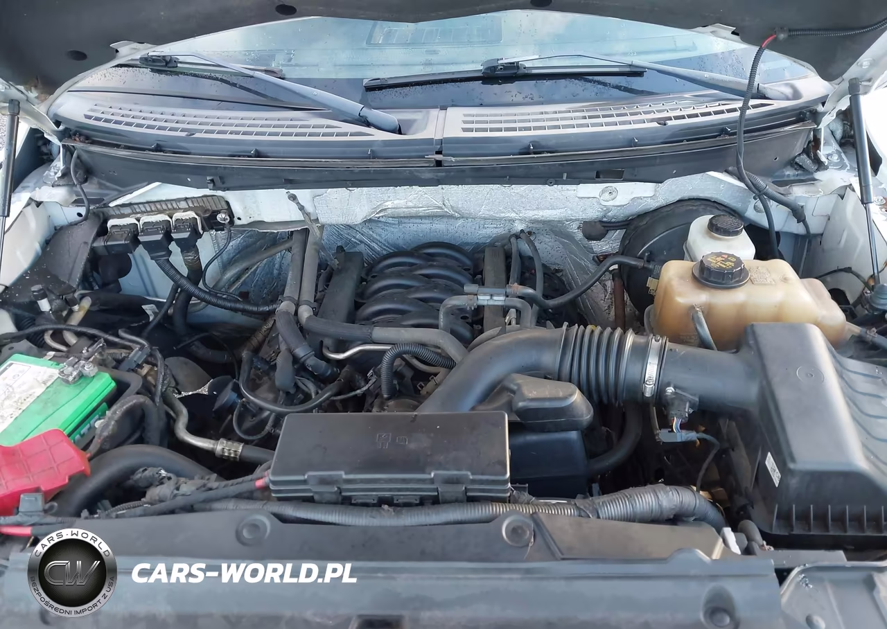 2012 Ford F-150 Xl VIN:1FTFX1CF5CKD32892 - 10