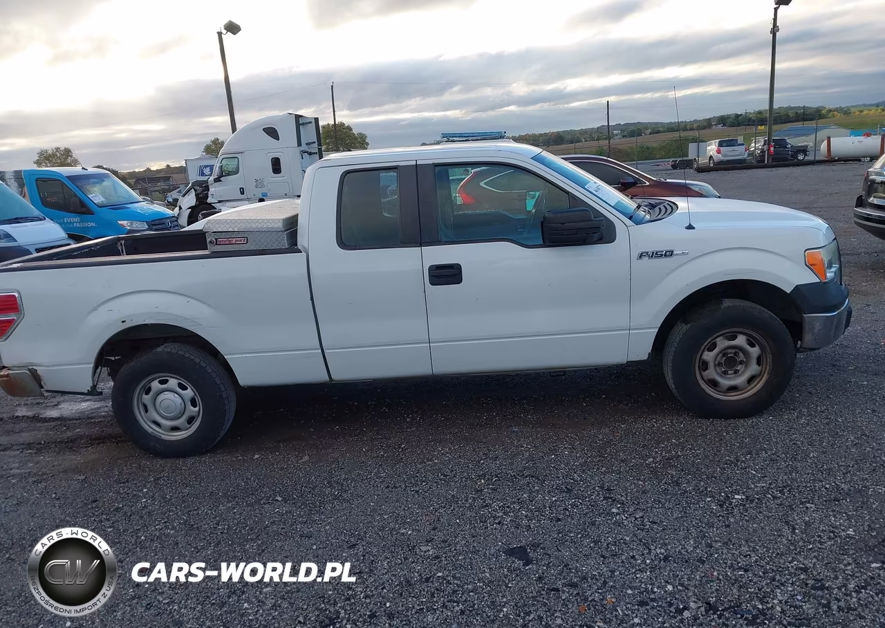 2012 Ford F-150 Xl VIN:1FTFX1CF5CKD32892 - 13