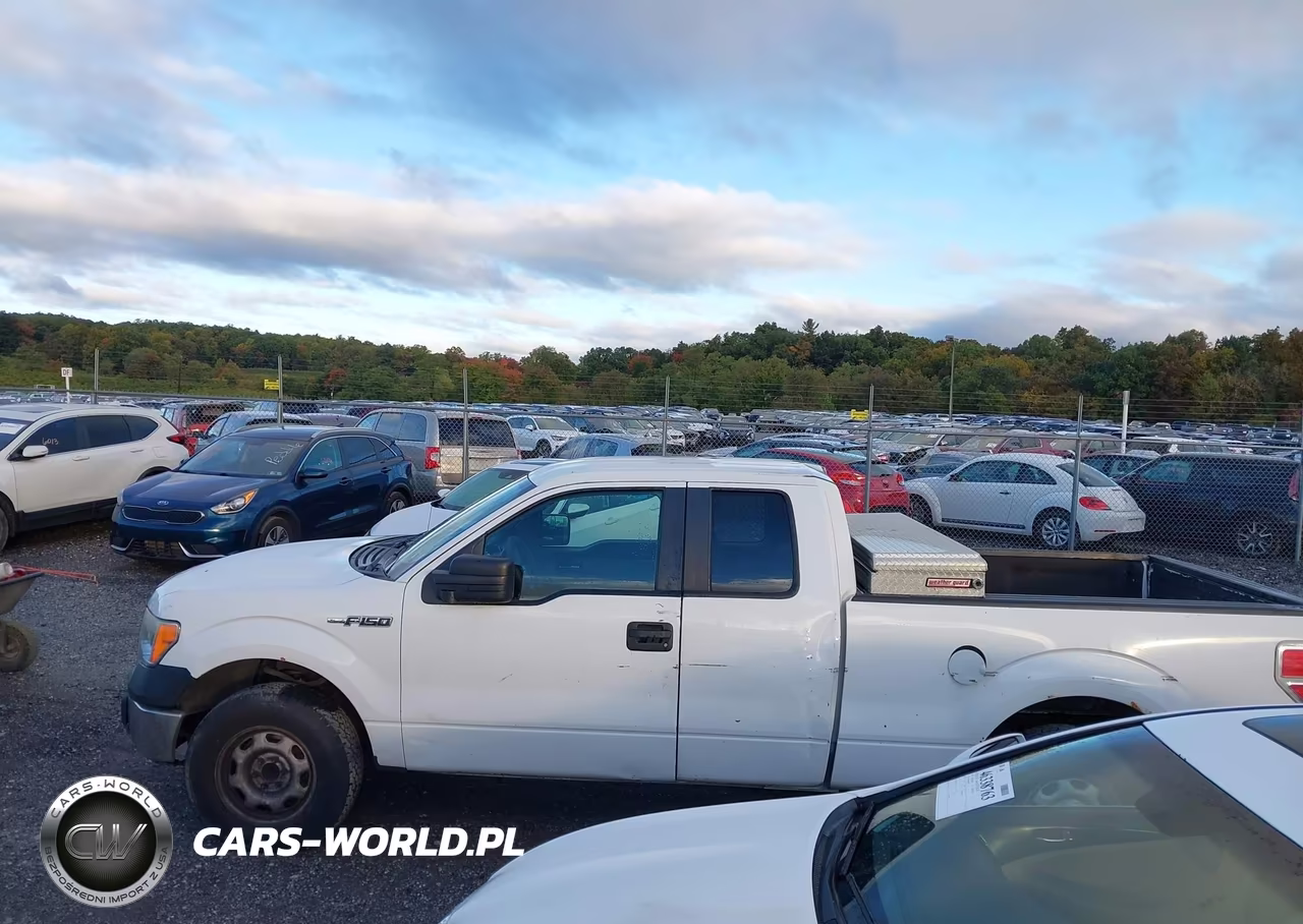 2012 Ford F-150 Xl VIN:1FTFX1CF5CKD32892 - 14