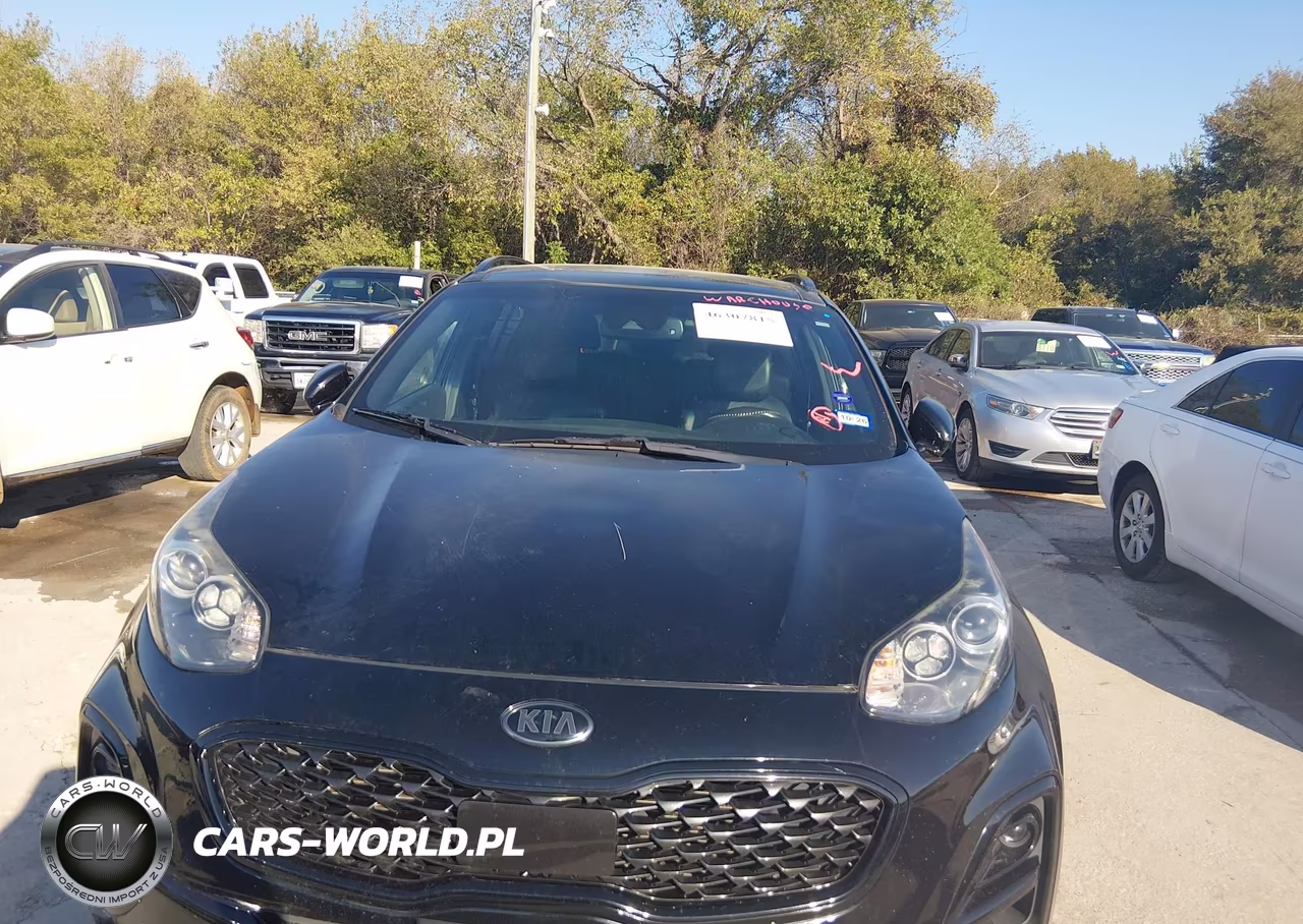 2022 Kia Sportage Nightfall Edition VIN:KNDP6CAC1N7998858 - 6
