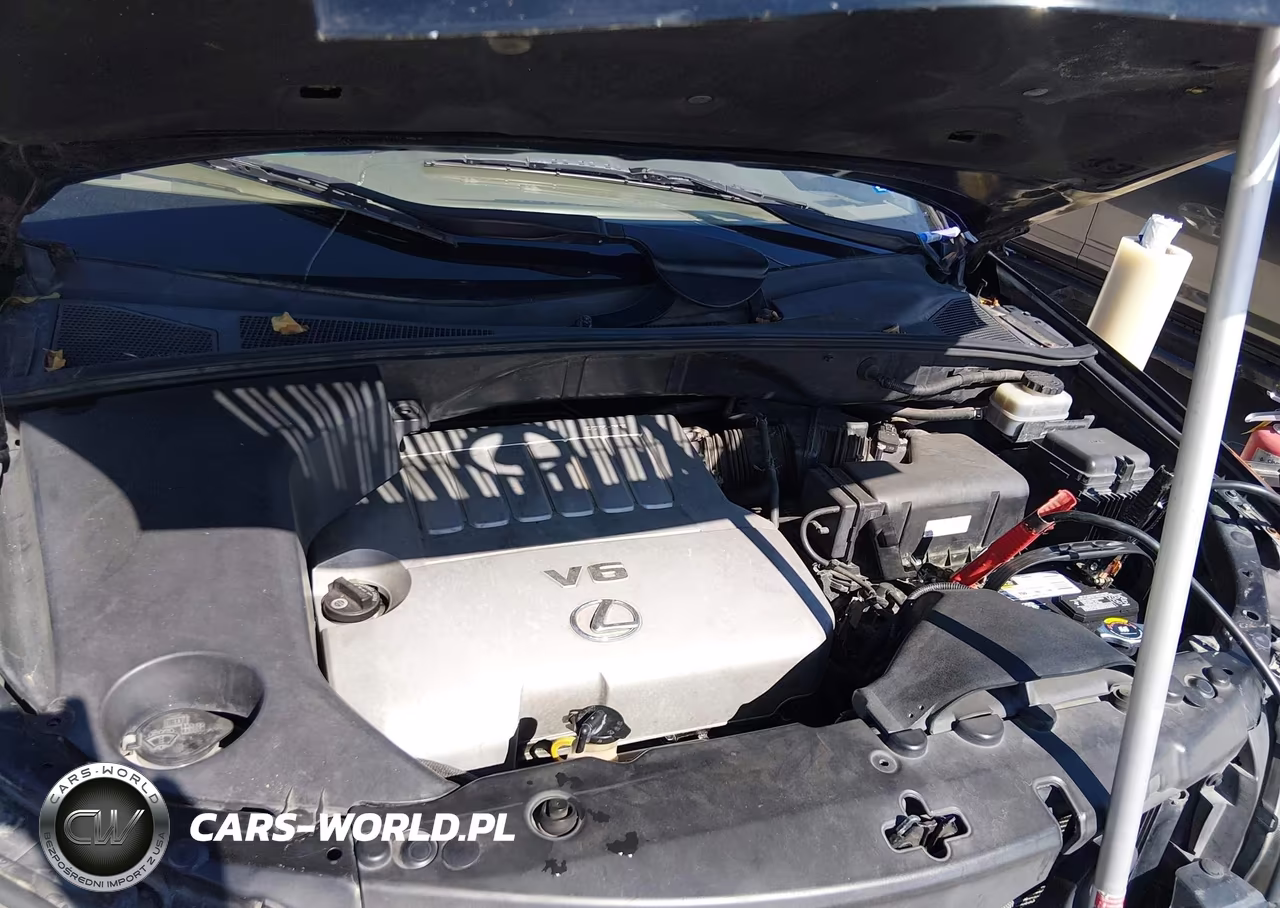 2007 Lexus Rx 350 VIN:JTJGK31U370009567 - 10