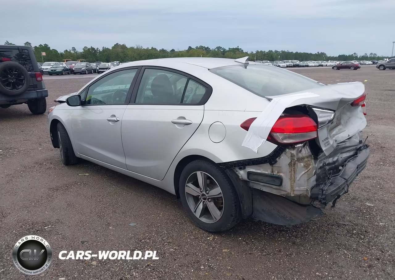 2018 Kia Forte Lx VIN:3KPFL4A78JE191860 - 3