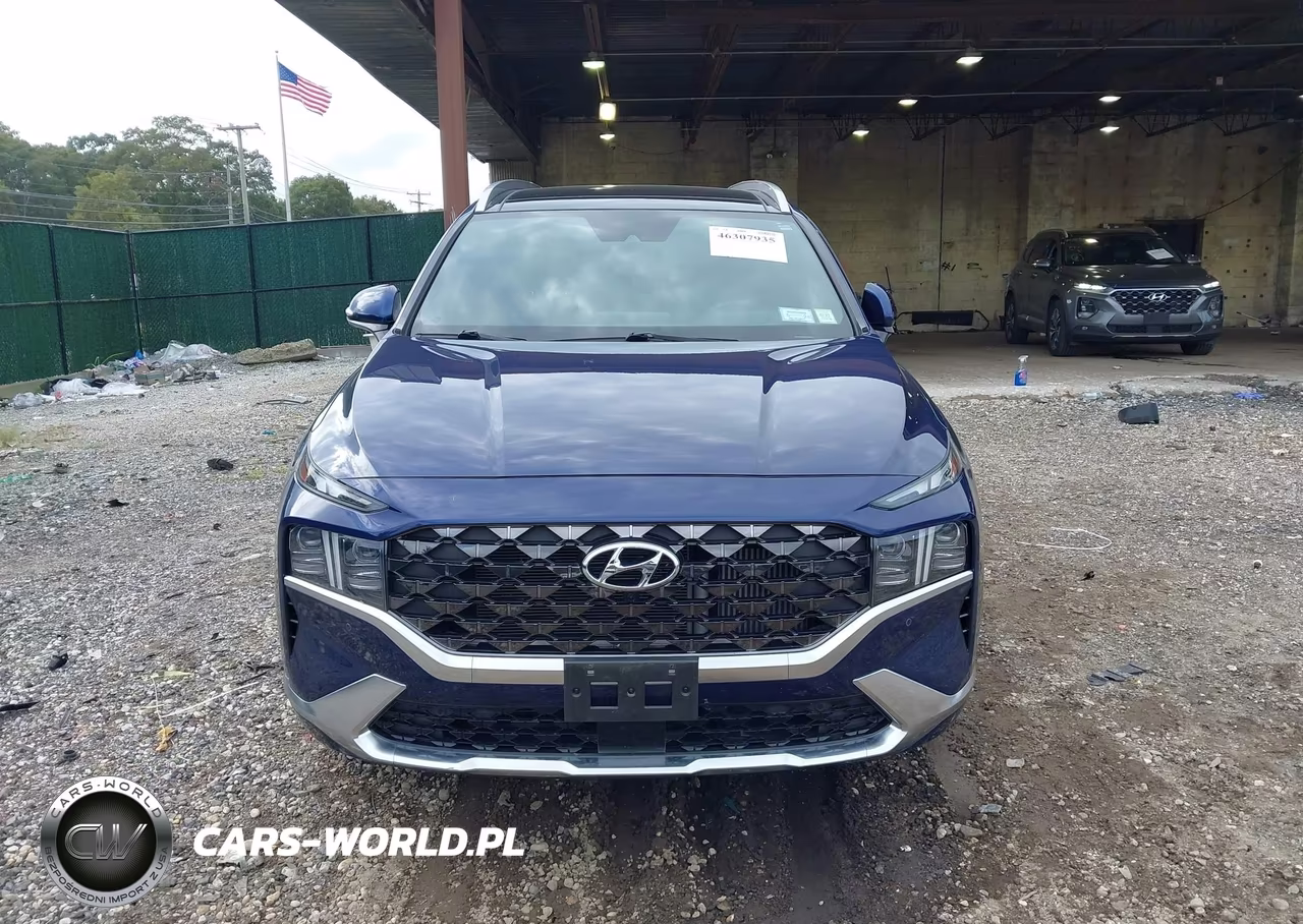 2023 Hyundai Santa Fe Calligraphy VIN:5NMS5DAL6PH564319 - 12