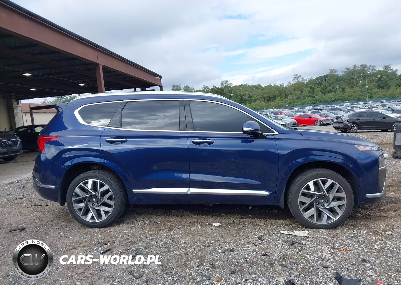 2023 Hyundai Santa Fe Calligraphy VIN:5NMS5DAL6PH564319 - 13