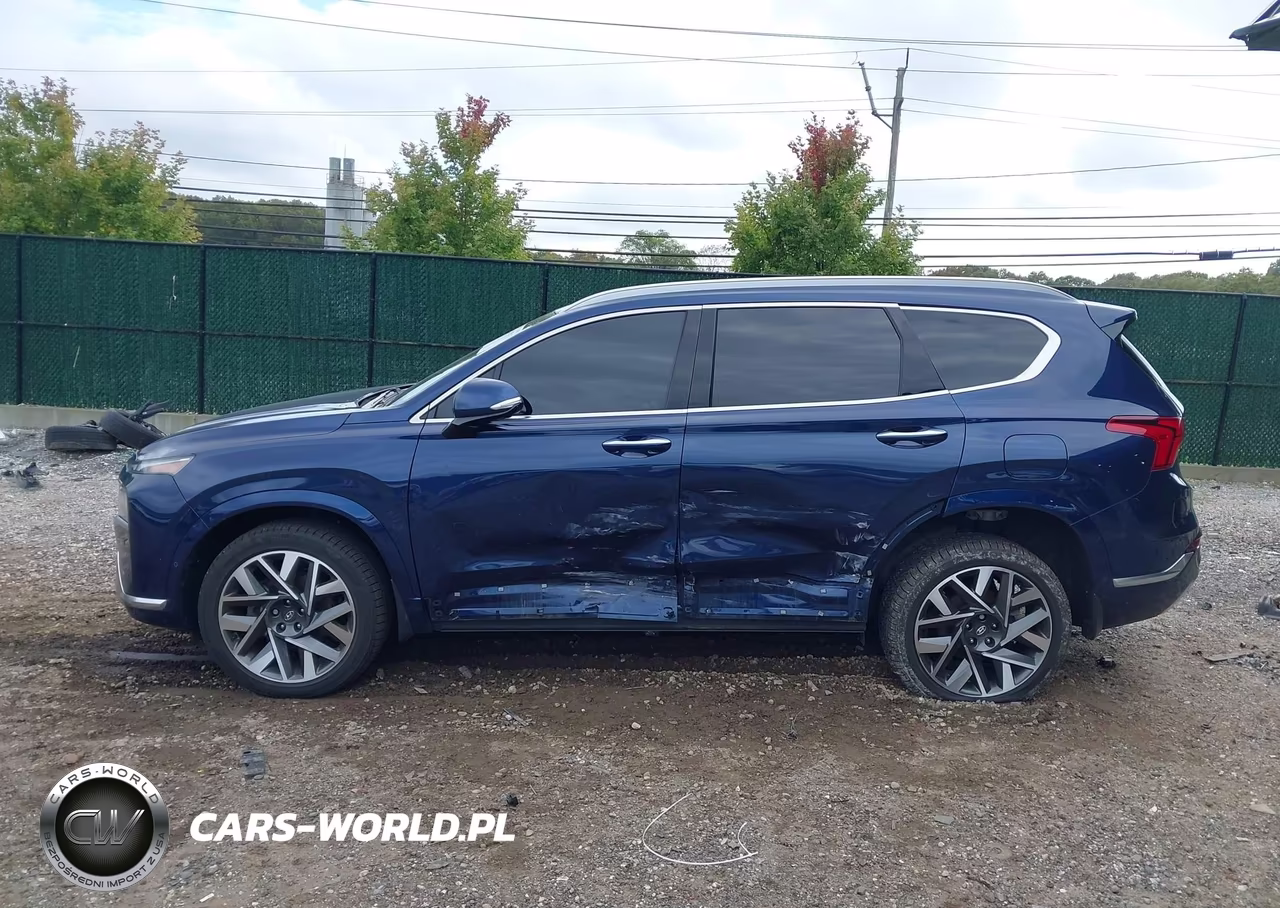 2023 Hyundai Santa Fe Calligraphy VIN:5NMS5DAL6PH564319 - 14