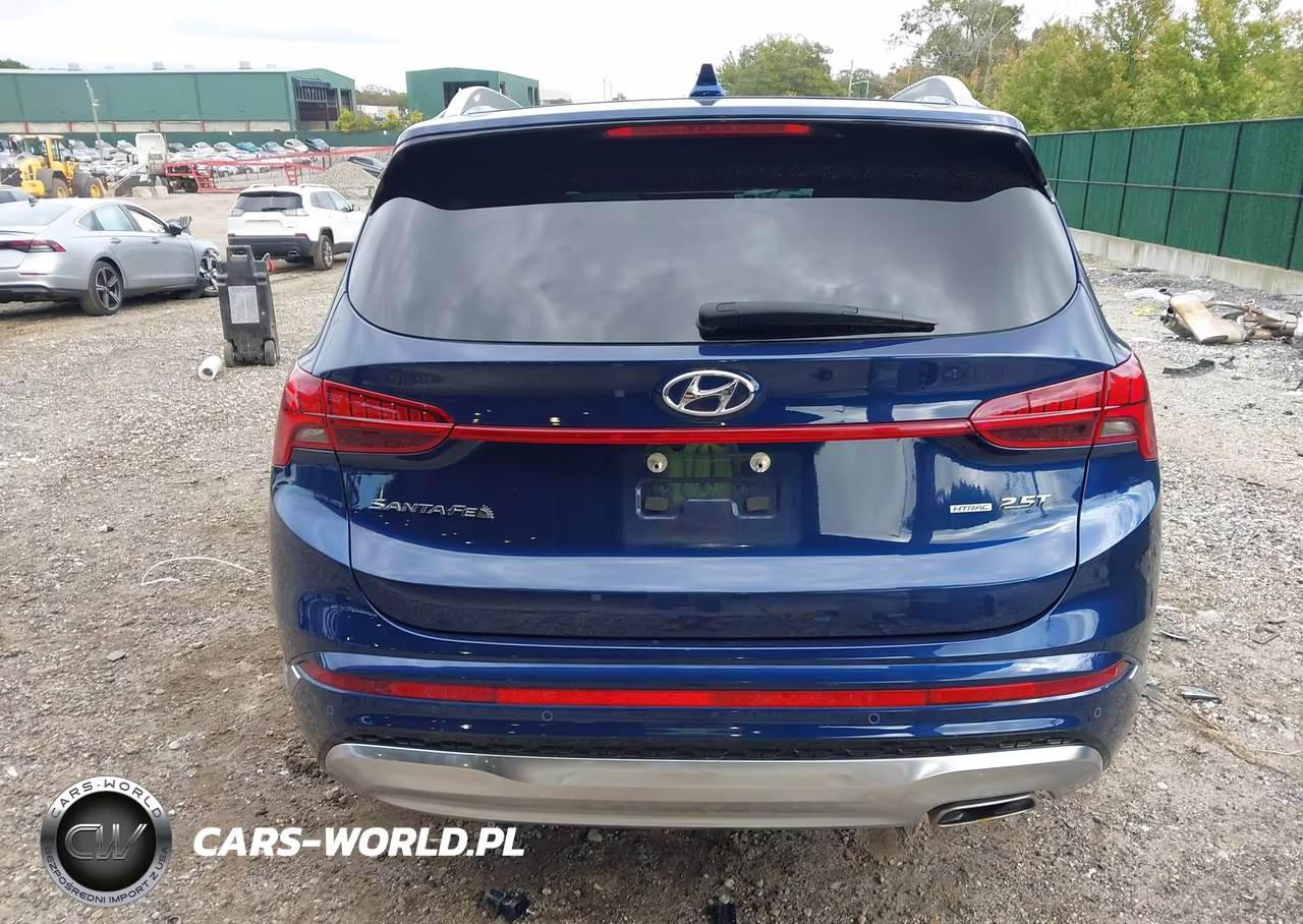 2023 Hyundai Santa Fe Calligraphy VIN:5NMS5DAL6PH564319 - 16