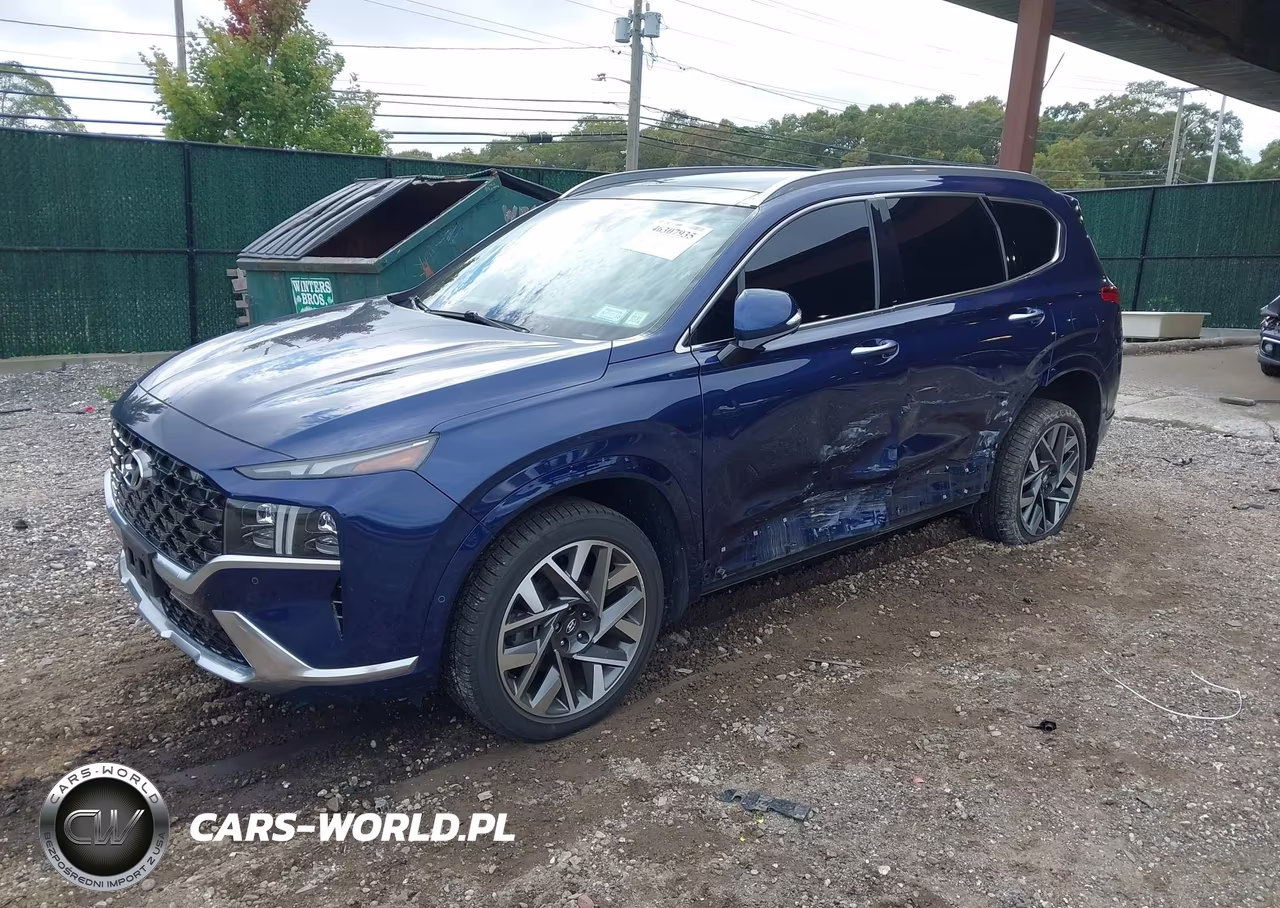 2023 Hyundai Santa Fe Calligraphy VIN:5NMS5DAL6PH564319 - 2