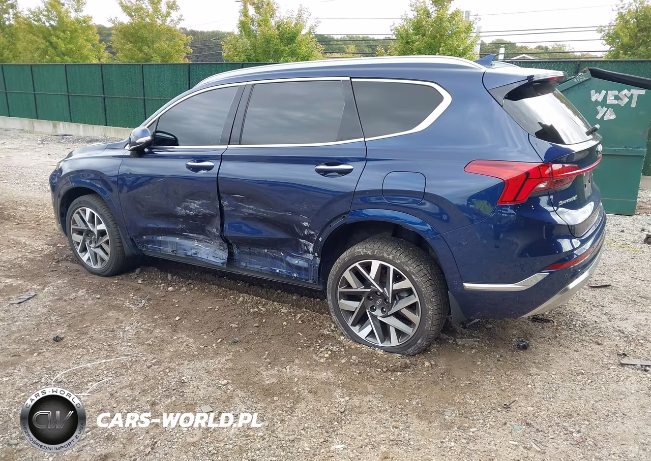 2023 Hyundai Santa Fe Calligraphy VIN:5NMS5DAL6PH564319 - 3