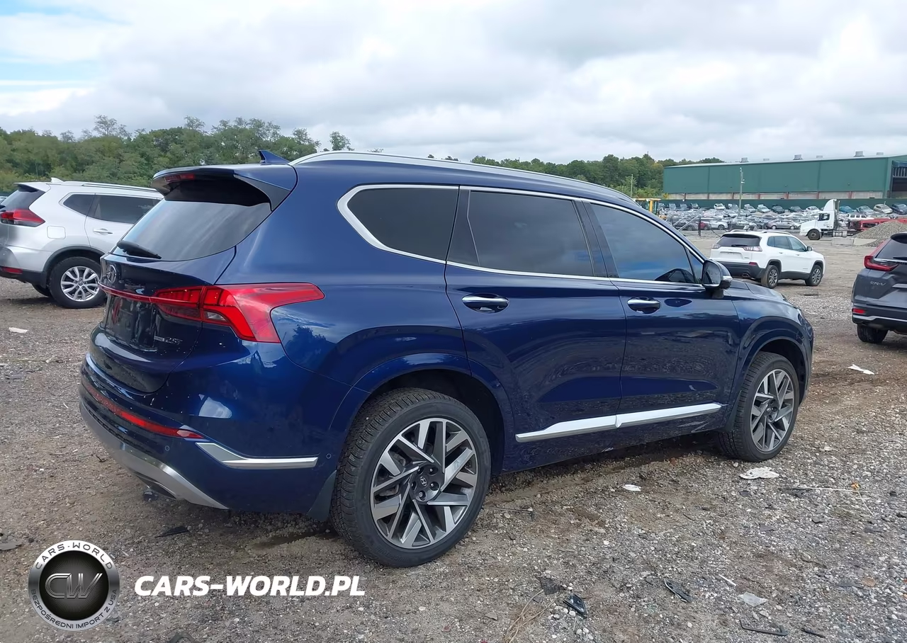 2023 Hyundai Santa Fe Calligraphy VIN:5NMS5DAL6PH564319 - 4