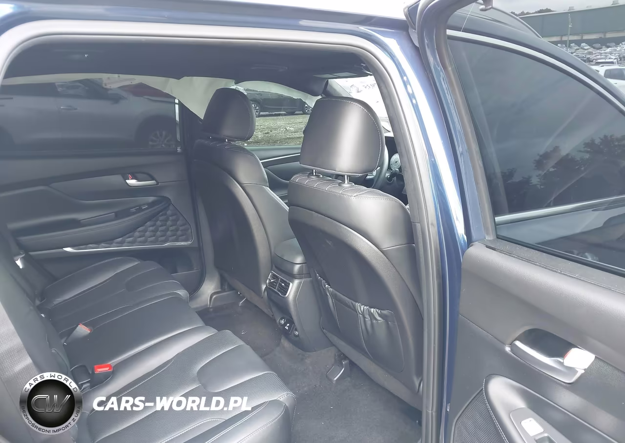 2023 Hyundai Santa Fe Calligraphy VIN:5NMS5DAL6PH564319 - 8
