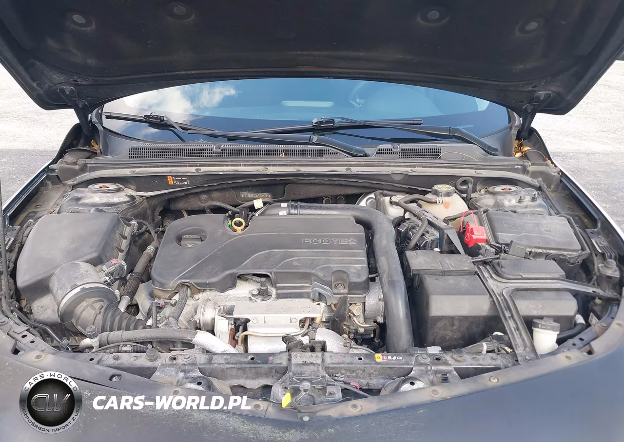 2019 Chevrolet Malibu 1Fl VIN:1G1ZC5ST3KF202195 - 10