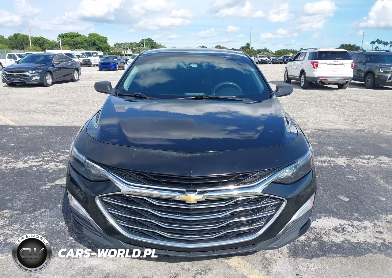 2019 Chevrolet Malibu 1Fl VIN:1G1ZC5ST3KF202195 - 13