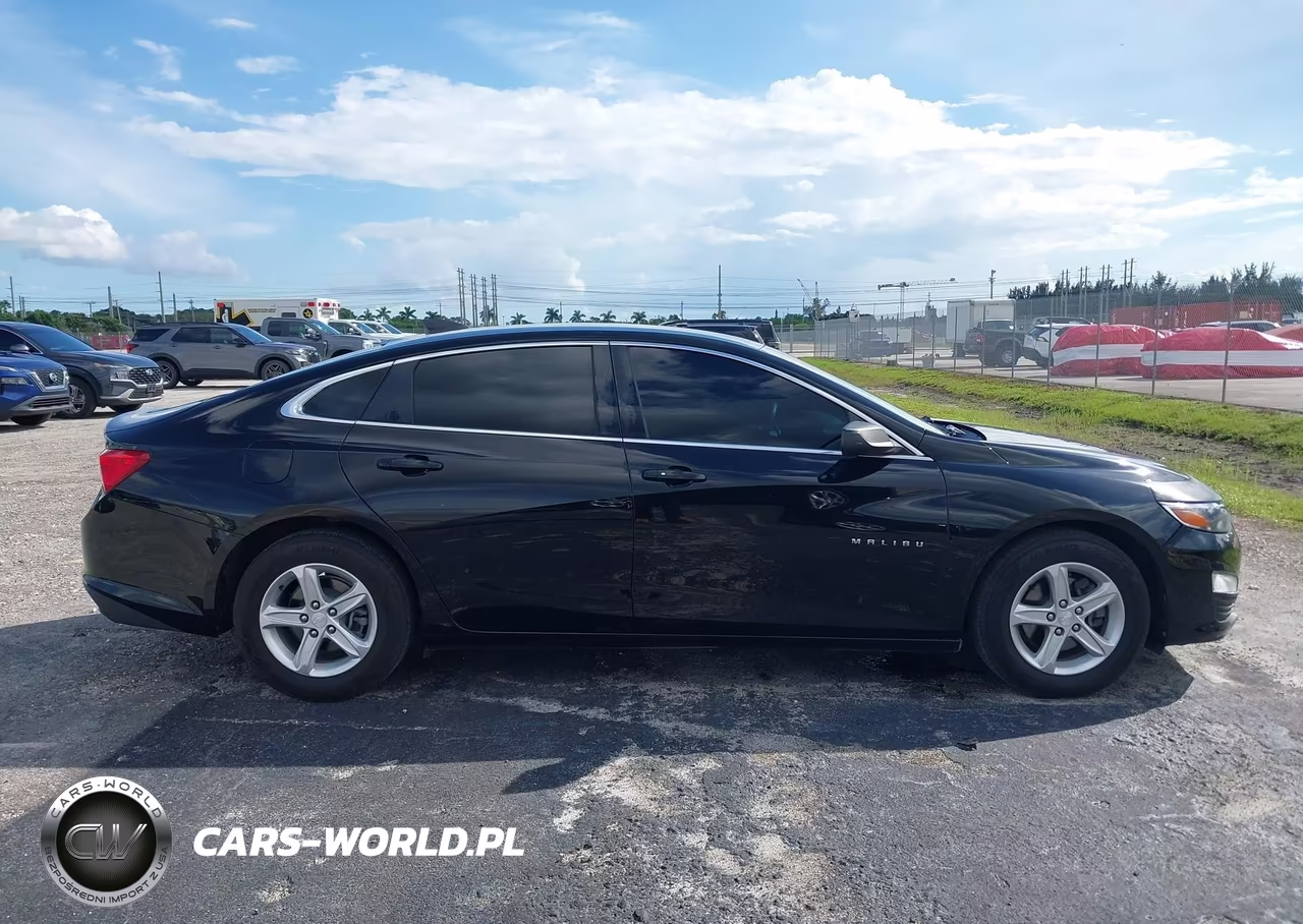 2019 Chevrolet Malibu 1Fl VIN:1G1ZC5ST3KF202195 - 14