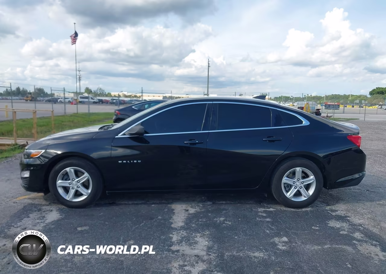 2019 Chevrolet Malibu 1Fl VIN:1G1ZC5ST3KF202195 - 15