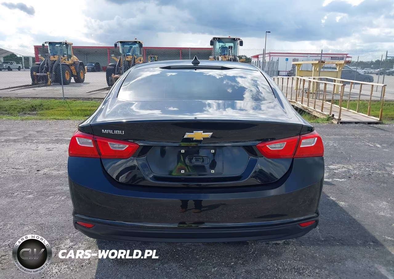 2019 Chevrolet Malibu 1Fl VIN:1G1ZC5ST3KF202195 - 17