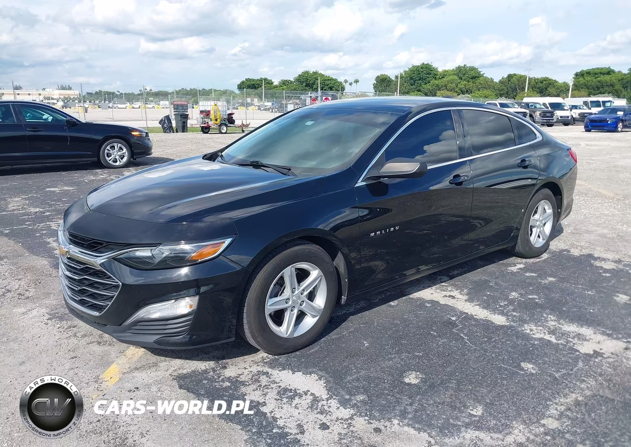 2019 Chevrolet Malibu 1Fl VIN:1G1ZC5ST3KF202195 - 2
