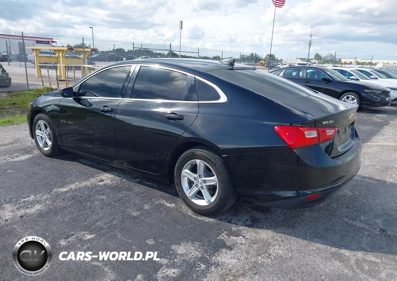 2019 Chevrolet Malibu 1Fl VIN:1G1ZC5ST3KF202195 - 3