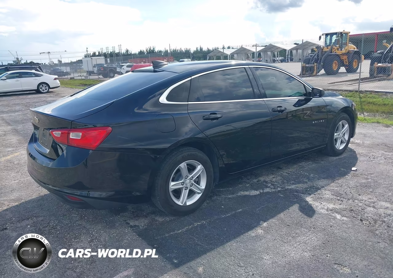 2019 Chevrolet Malibu 1Fl VIN:1G1ZC5ST3KF202195 - 4