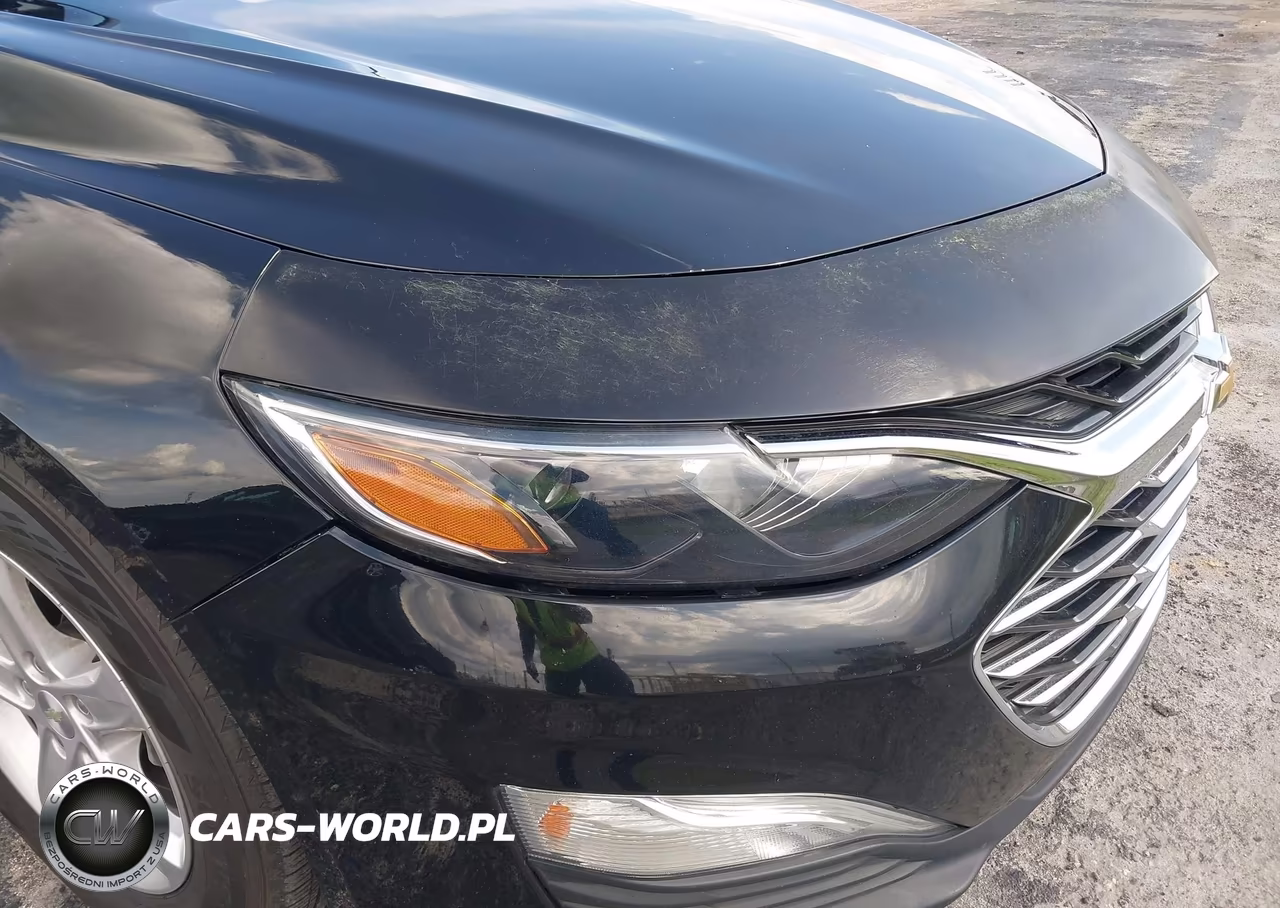 2019 Chevrolet Malibu 1Fl VIN:1G1ZC5ST3KF202195 - 6