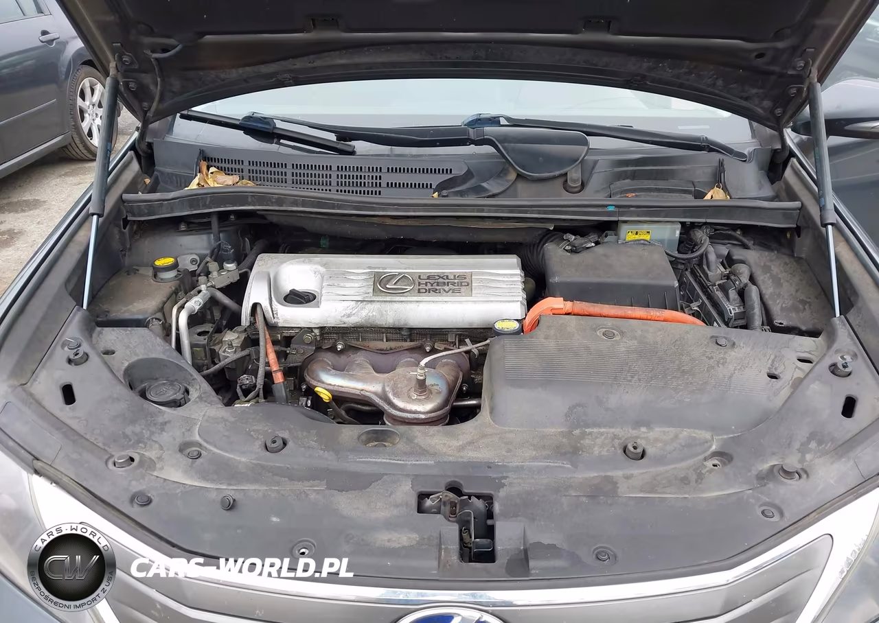 2010 Lexus Hs 250H VIN:JTHBB1BA9A2007452 - 10