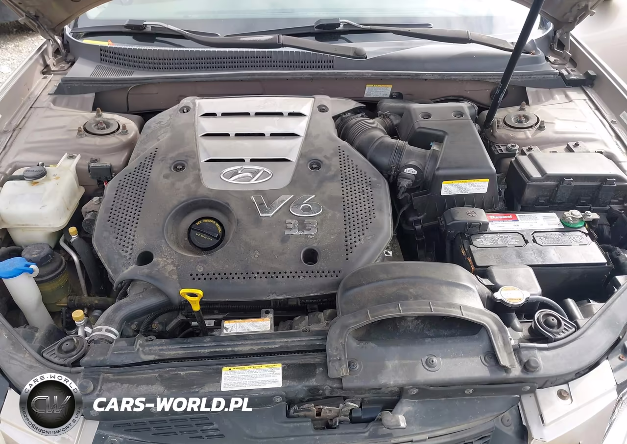 2008 Hyundai Sonata Limited V6-Se V6 VIN:5NPEU46F48H305965 - 10