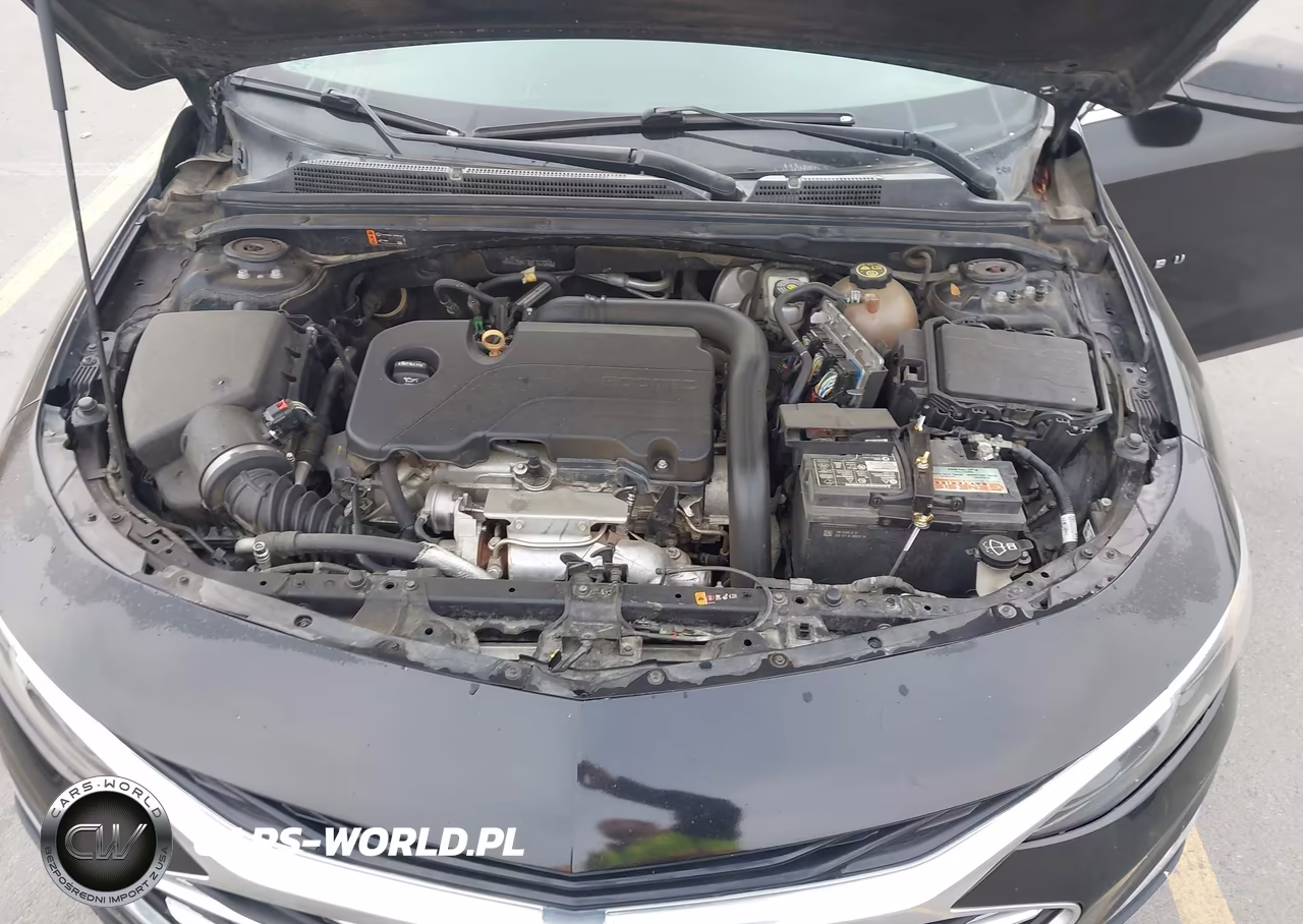 2019 Chevrolet Malibu 1Ls VIN:1G1ZB5ST8KF121308 - 10