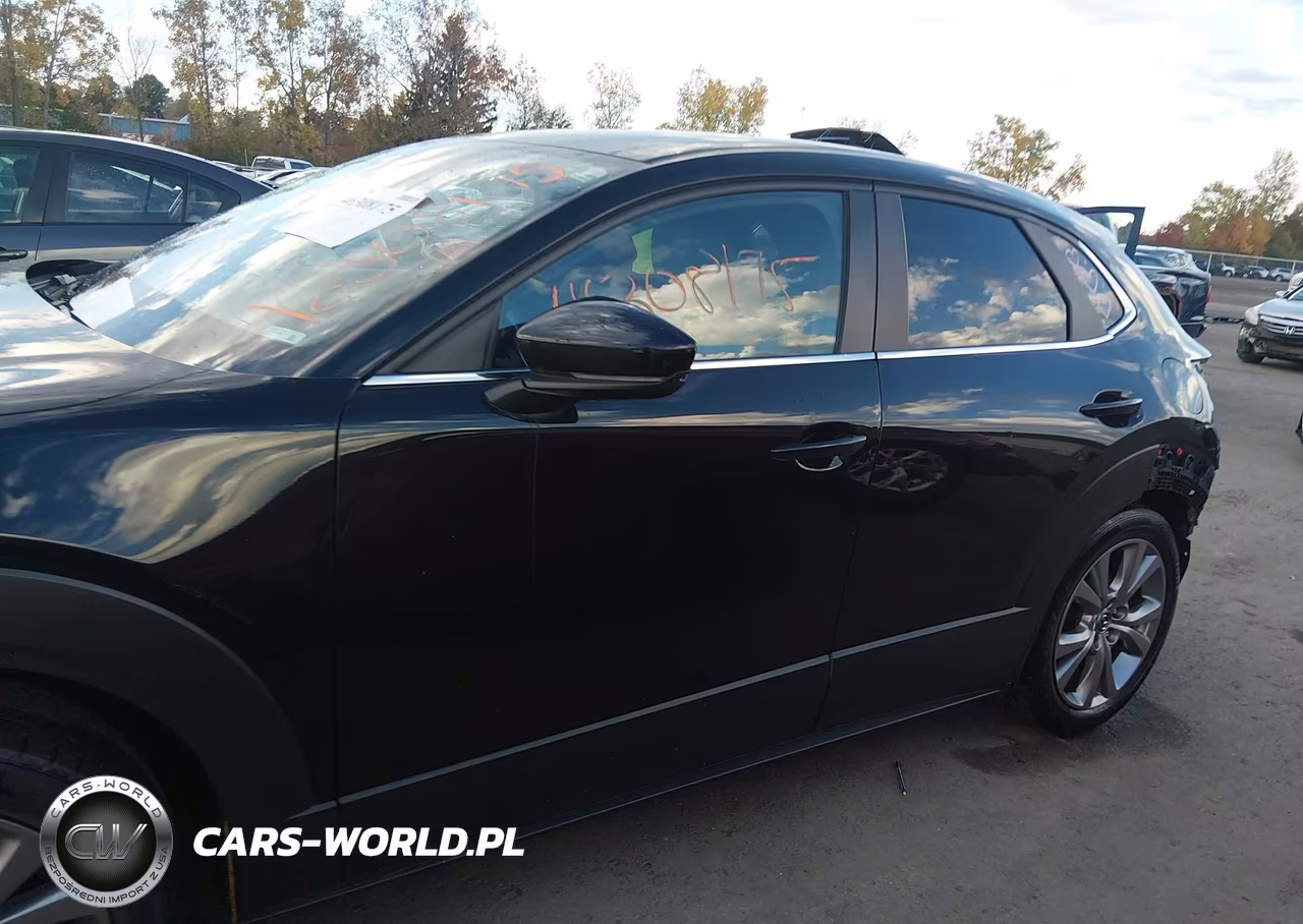 2021 Mazda Cx-30 Select VIN:3MVDMBBL9MM316202 - 15