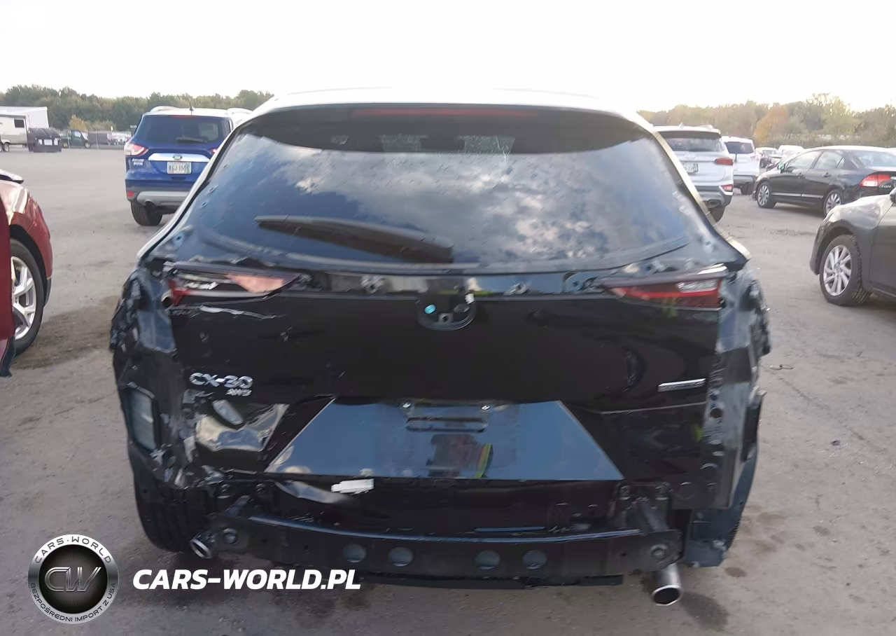2021 Mazda Cx-30 Select VIN:3MVDMBBL9MM316202 - 17