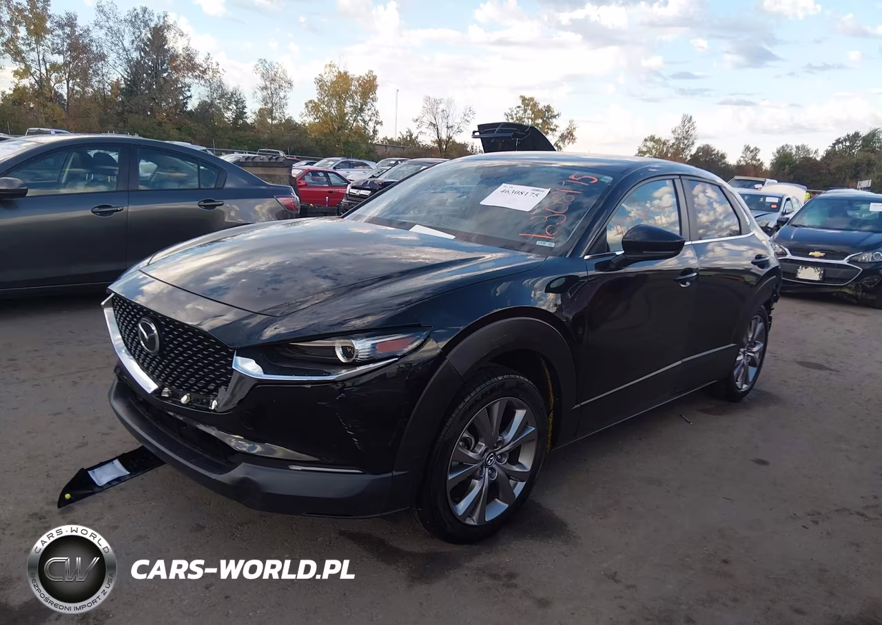 2021 Mazda Cx-30 Select VIN:3MVDMBBL9MM316202 - 2