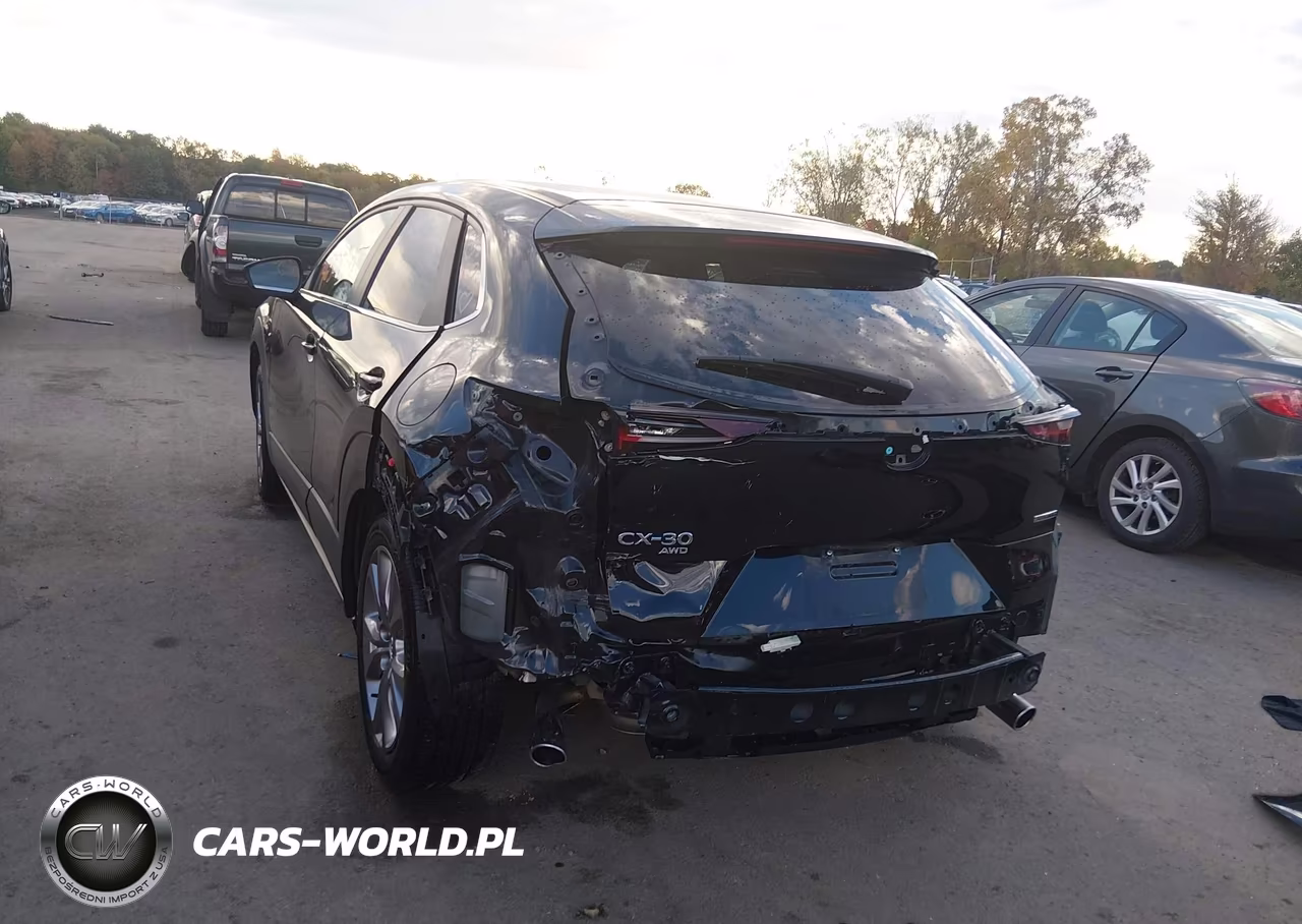 2021 Mazda Cx-30 Select VIN:3MVDMBBL9MM316202 - 6