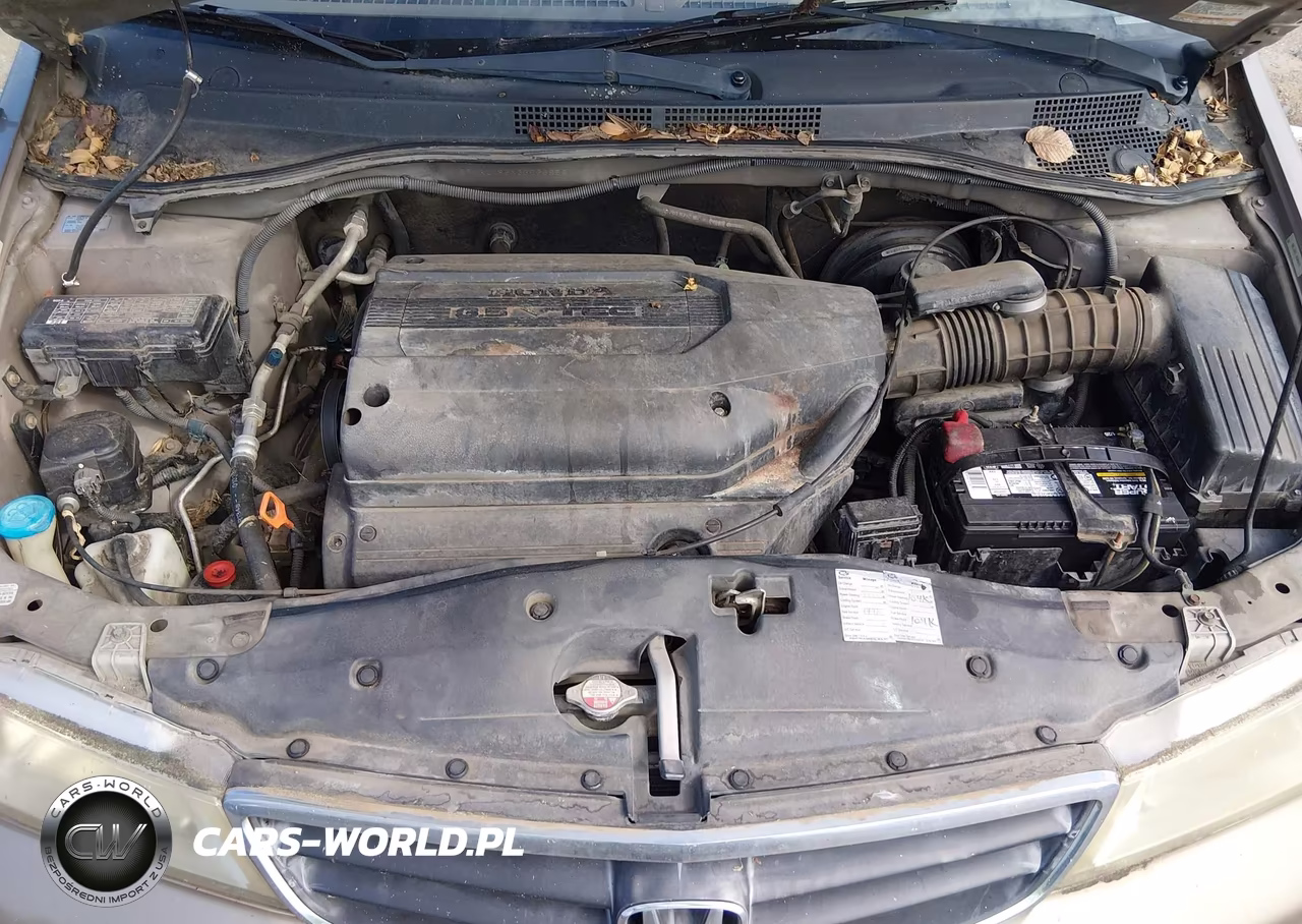 2003 Honda Odyssey Lx VIN:5FNRL185X3B066856 - 10
