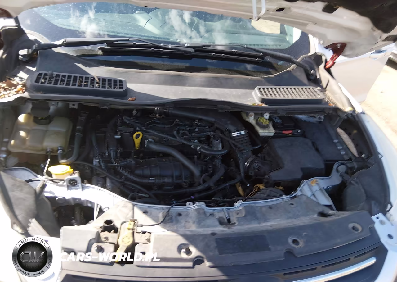 2014 Ford Escape Se VIN:1FMCU0GX2EUA61754 - 10